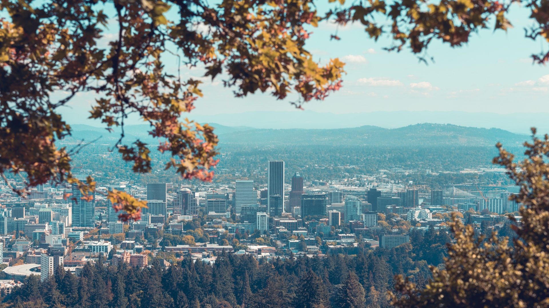 What You Should Do After an Accident in Portland